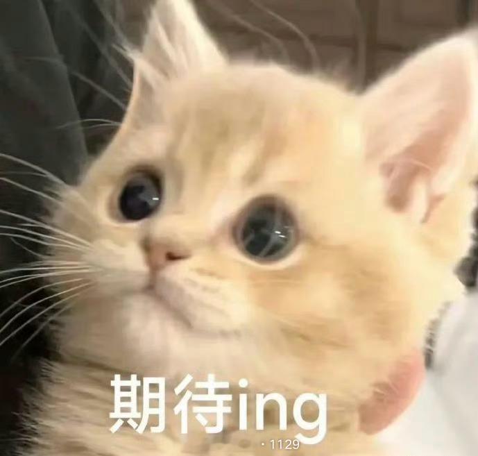明天晚上就可以看到我家龚俊小宝了想死麻麻啦