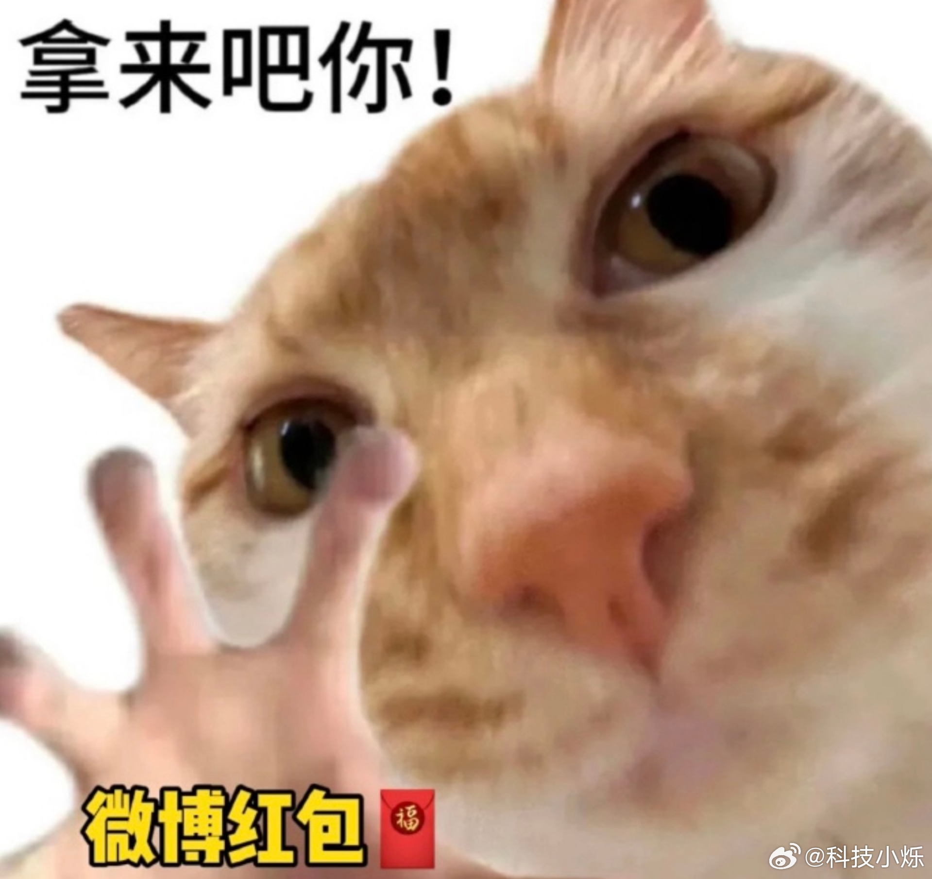 晒出属于你的光 这两天我就爱玩这种“轻量小任务+抽奖”的活动：心动礼遇季 11点