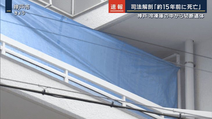 日本惊爆冷库藏尸15年奇案：42岁男子被腰斩切成两段，柯南都查不出凶手！本202