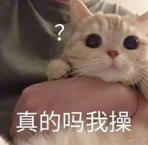 最大的对手不在，就说团结会不会有点这一刻的车企真团结