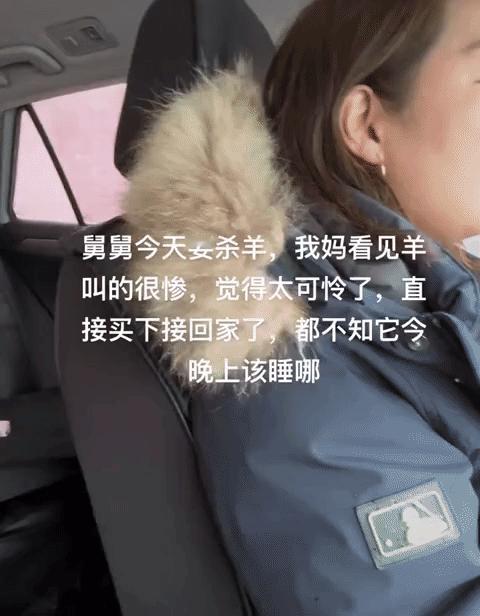 舅舅要杀羊，女孩的妈妈看小羊叫的太惨了，觉得太可怜了，直接买下来接回家，也不知道