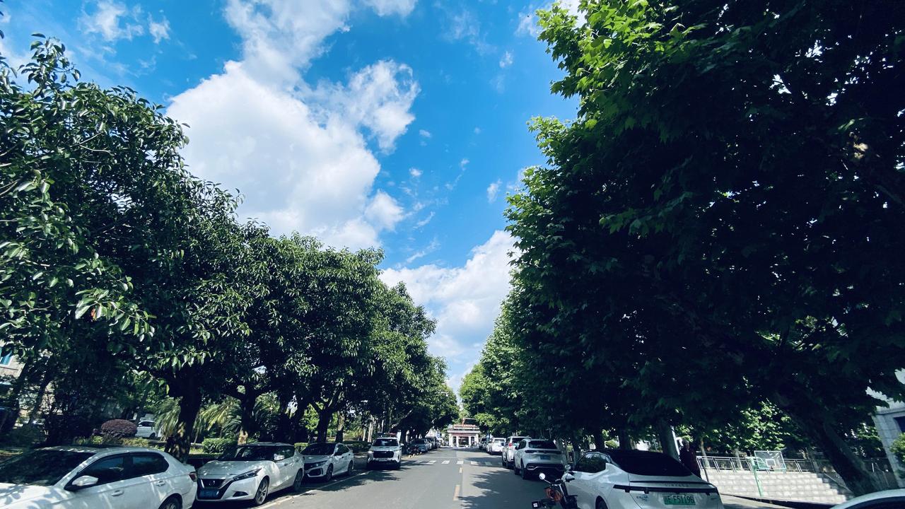 寻常纳溪街头，藏着不寻常的美好
  春末夏初的泸州纳溪，刚淋过一场痛快的暴雨，天