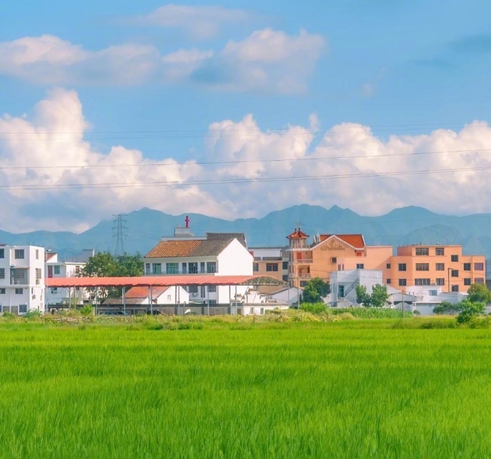 风起初夏，就像我轻吻你的额头。 