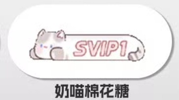 SSR交换站 问 