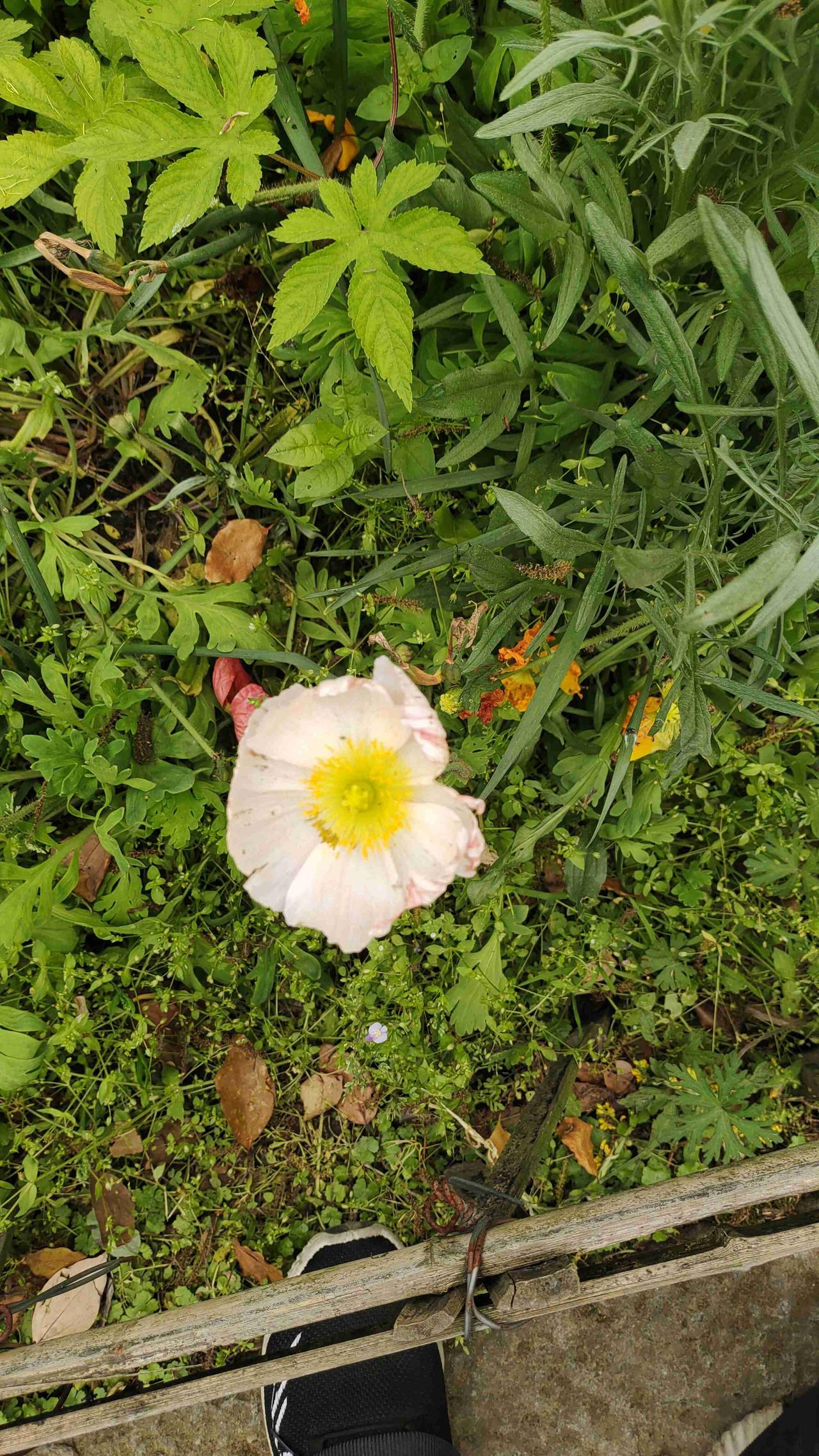 我的今日状态：😁轻松愉快
我这里的天气：☀️晴天