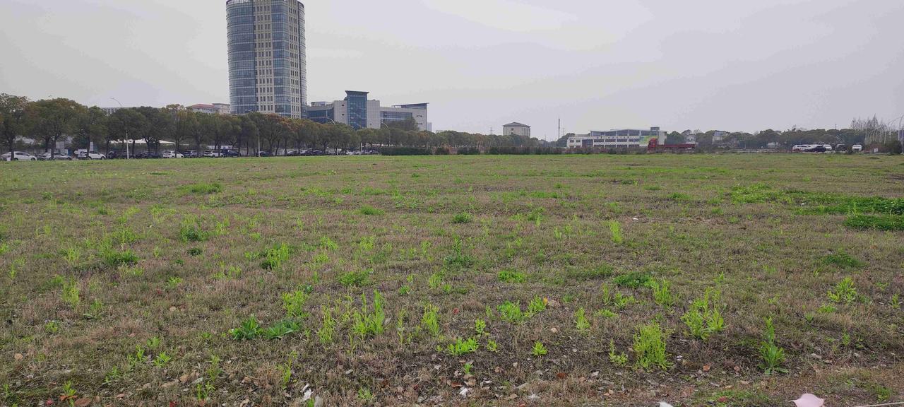 我的今日状态：😁轻松愉快
我这里的天气：☁️阴天
外面走走 ，正好看到这么一片