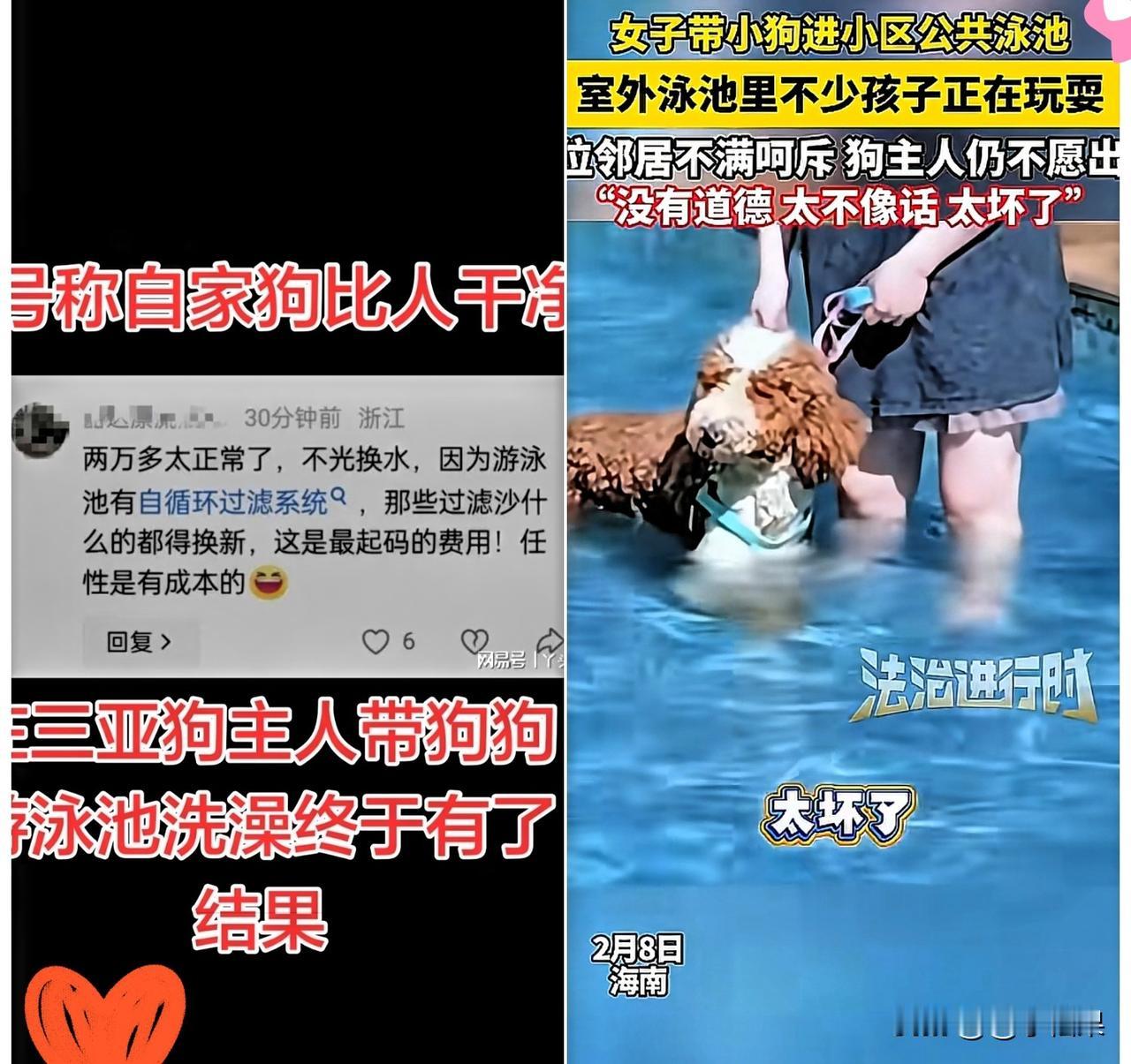 不知好歹
三亚那个在泳池给狗搓澡的女的，终于收到账单了。
2万多账单，大快人心！