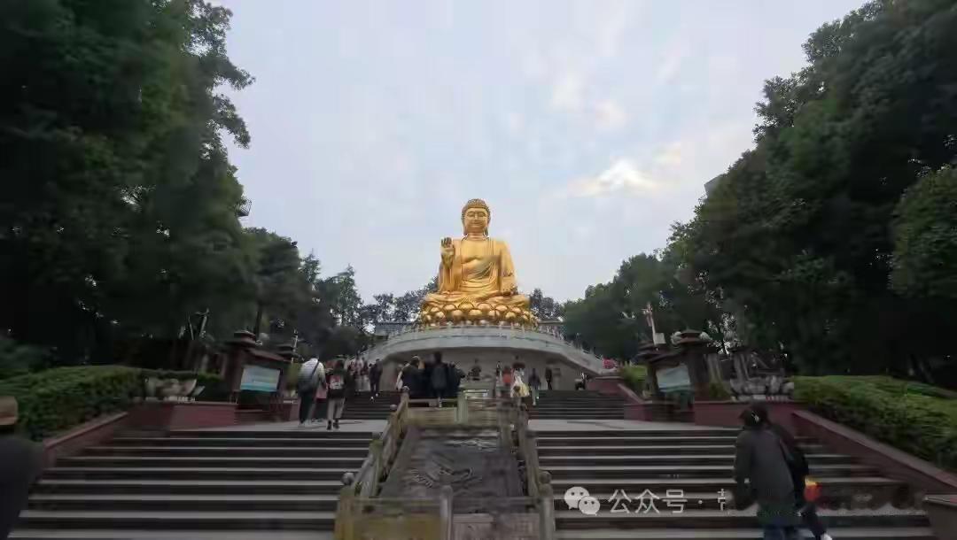 在重庆待了三年，我一直以为这座城市只有火锅和爬不完的坡。直到上个月被人拽去华岩寺