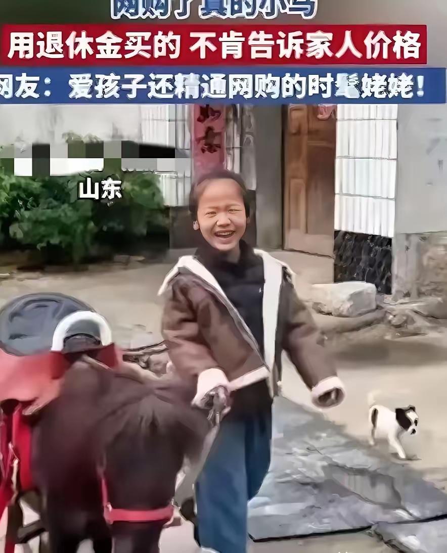 万万没想到！山东姥姥学网购，竟瞒着家人花五六万给外孙女买回一匹小矮马，全网都被这