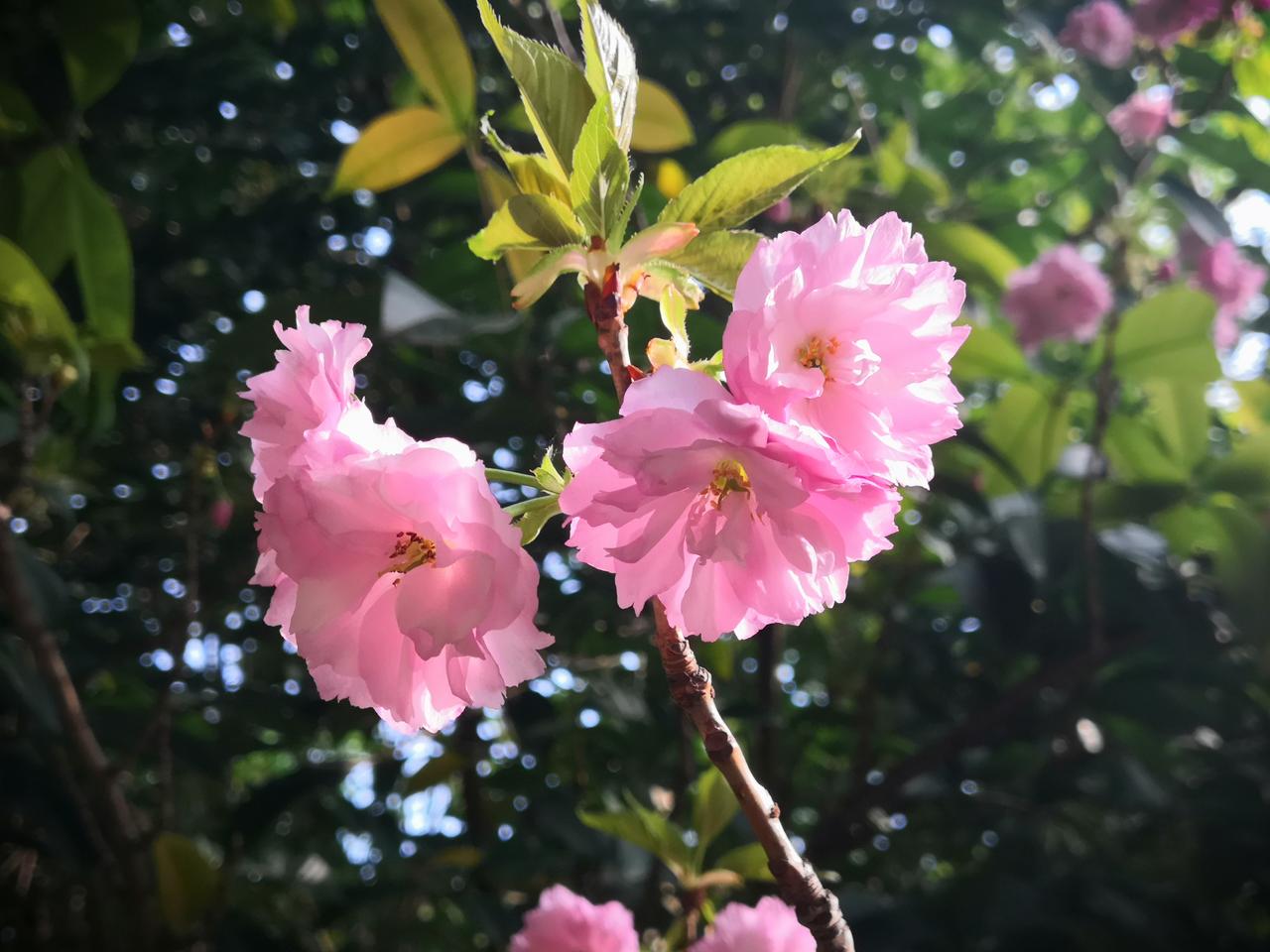 我认为性格重要，容貌是随着时间可以变化的，而性格却是一个人内在的，当然是性格最重