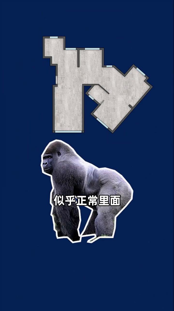 大猩猩户型暴力大改造，强迫症慎看。
这次改造的这个户型应该算正常的了，但是似乎正