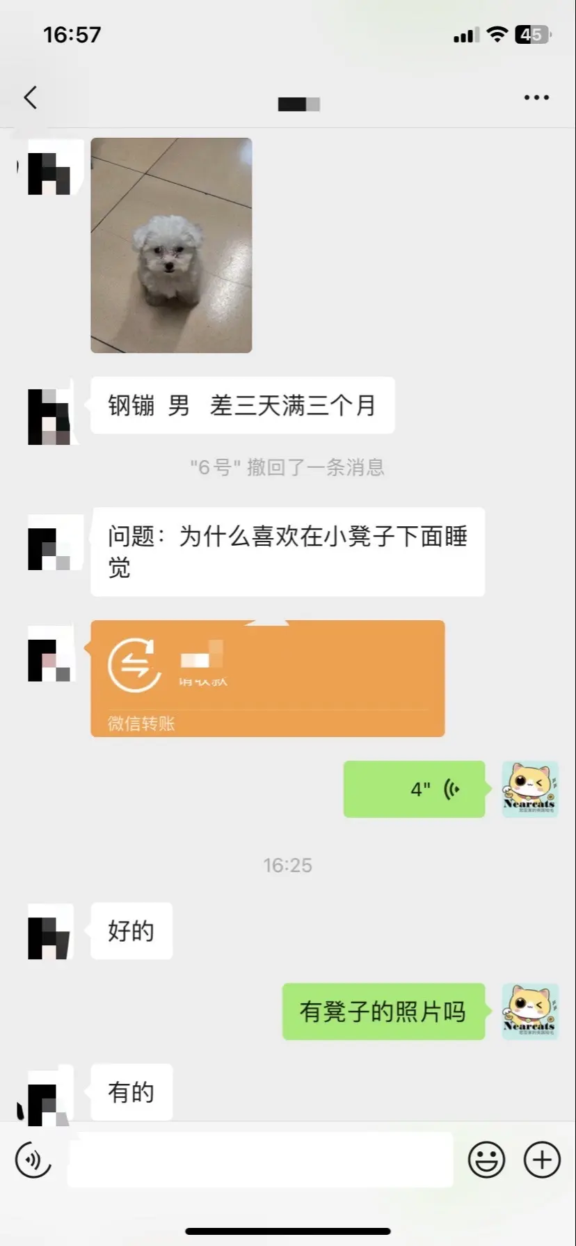宠物沟通。其实一个问题我都懒得看日常的，但是不看主人又没有判断依据🥱