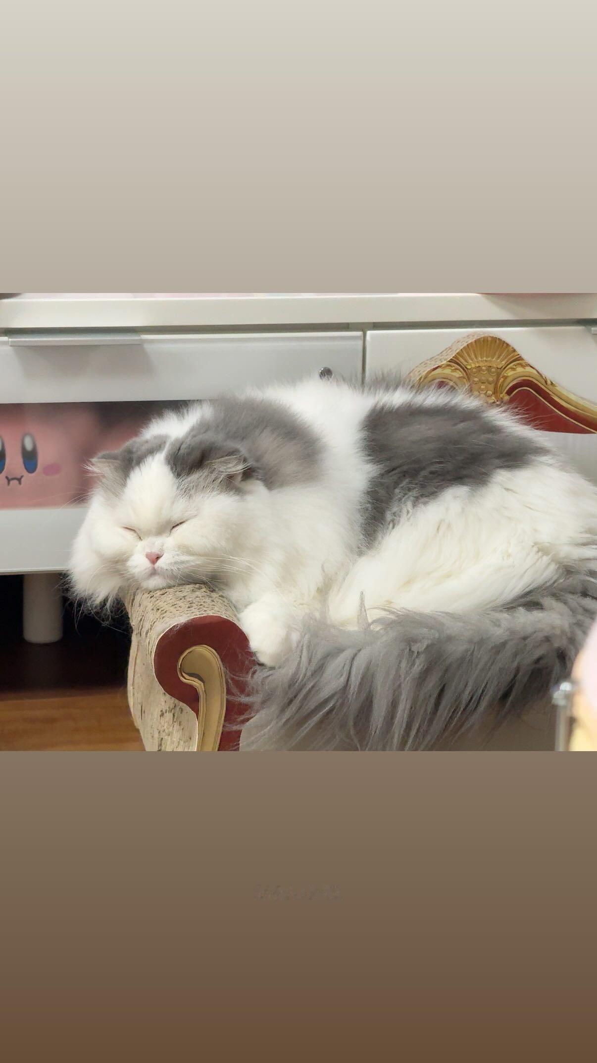 吉田綾乃クリスティー ​​​