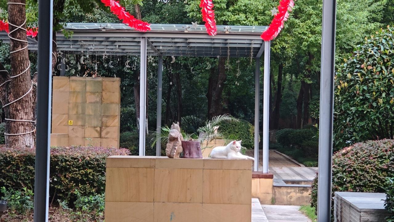 退休后,怎样的生活才是幸福的? 自由。
工作时，要按时上下班，要完成各种任务，要