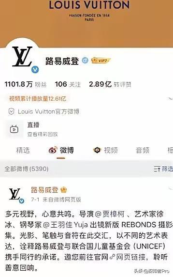 LV完败，五年告了快1700回，平均一天“收割”一个中国小卖家，效率拉满。
可问