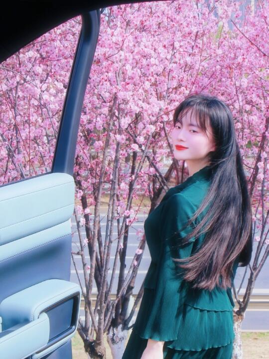 南昌这里的樱花开爆了🌸