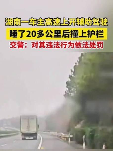 这事儿听着就离谱。今年1月1号，湖南衡邵高速上，有个司机邹某，开车的时候开了辅助
