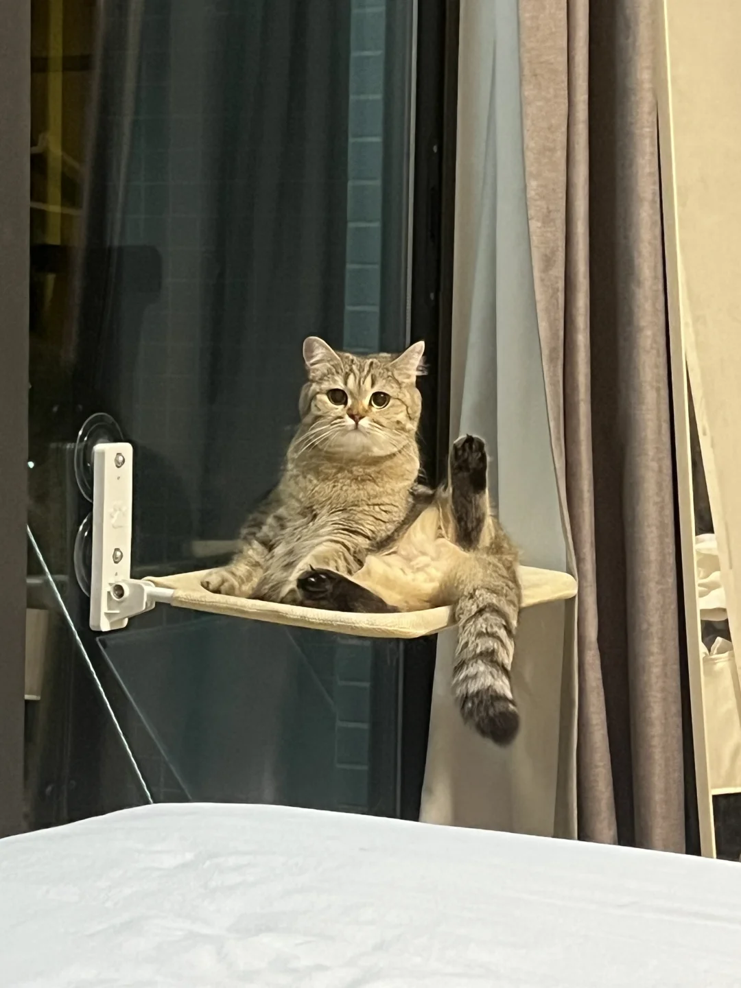 泥，泥嚎鸭！