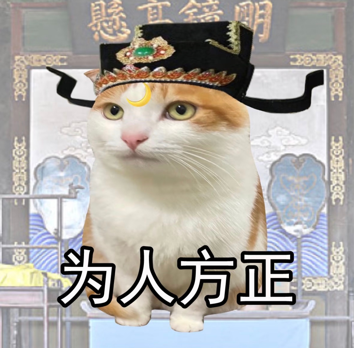 美团判官这下好了，又多了个乐子！我赶紧去看看都是些什么搞笑的内容[笑而不语]我申