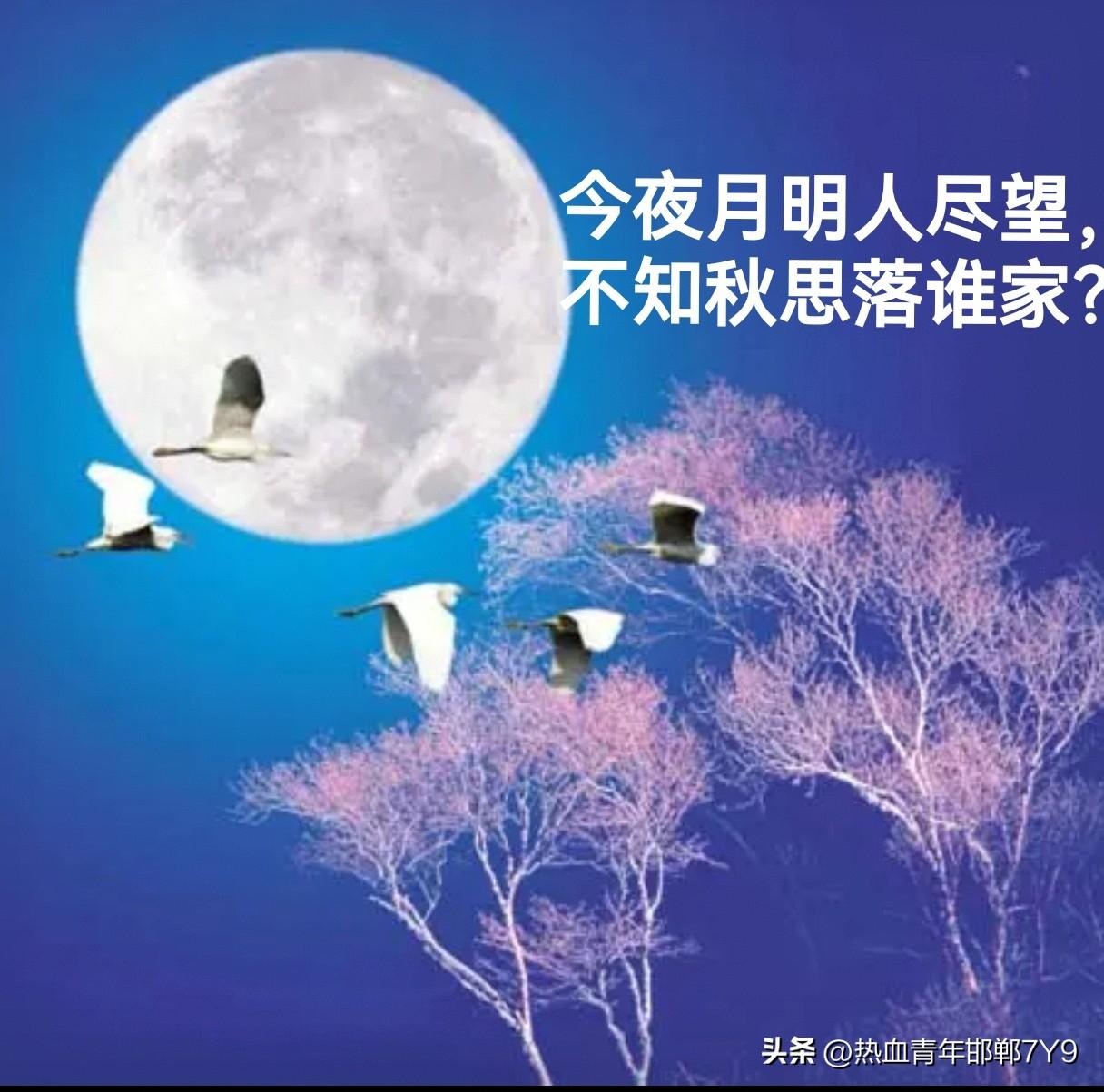 秋天是一年中气压最高的季节，秋高气爽是最典型的气候，秋天的月亮是中华民族最美丽的