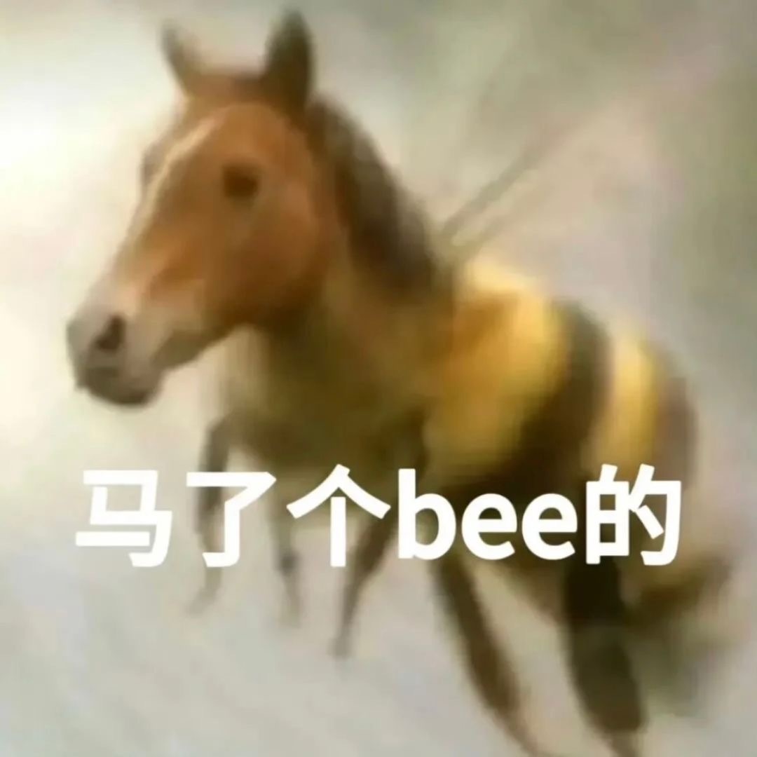 一条rs都做不上去 外显体你自由了 