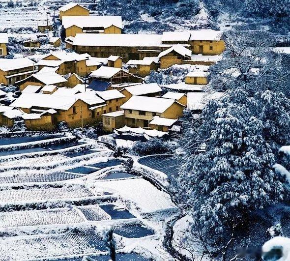 南方多地将抢先迎来2025年初雪   现在的我，已经很期待2025年云和梯田的第