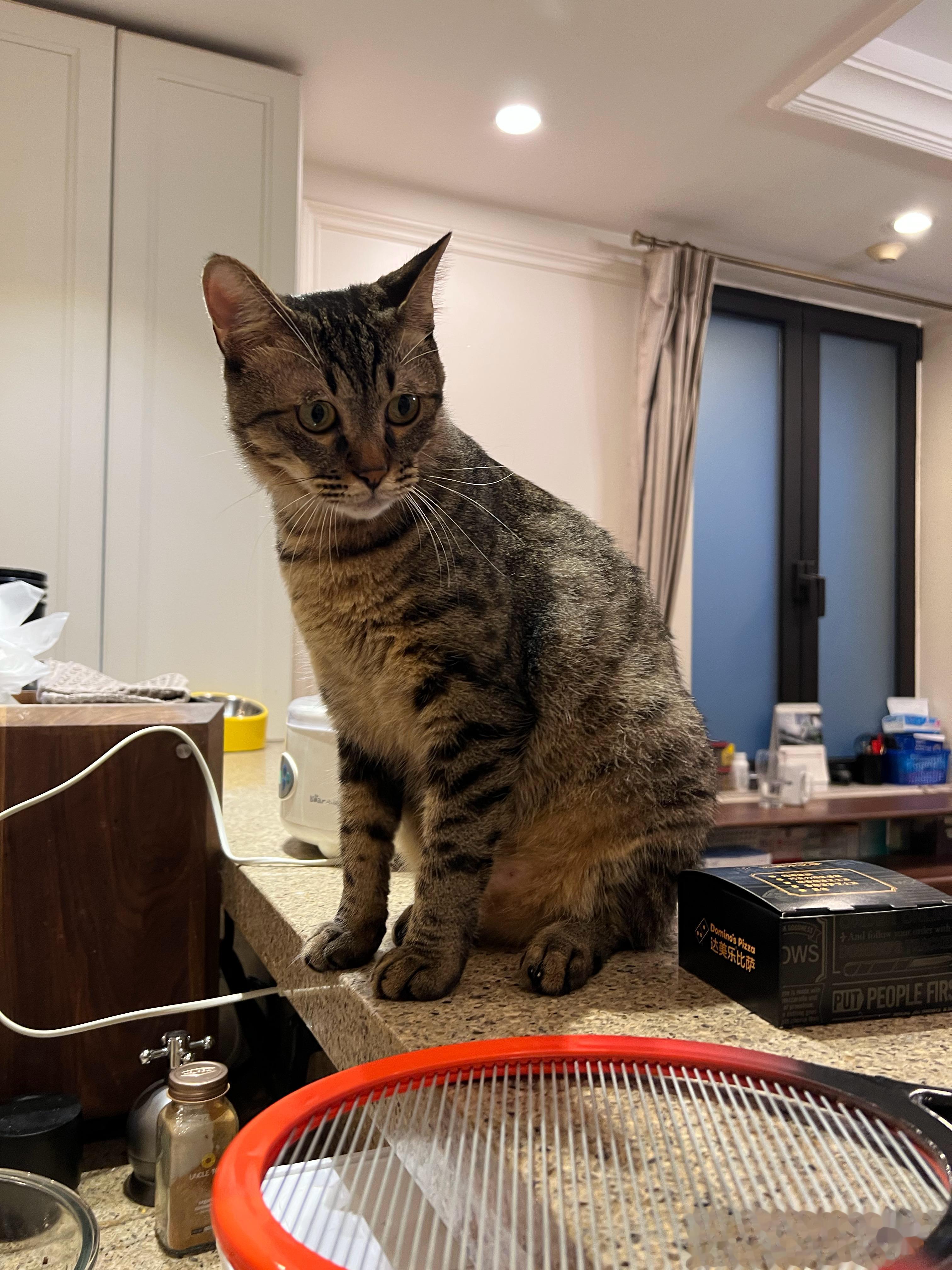 本司决定即日起，猴猴做五休二，葵葵做二休五！ ​​​