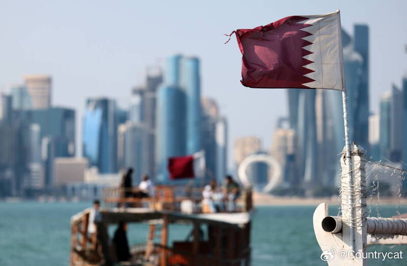 卡塔尔军机坠毁致6死1失踪 罹难者含3名土耳其人及军官海外新鲜事 卡塔尔一架军用