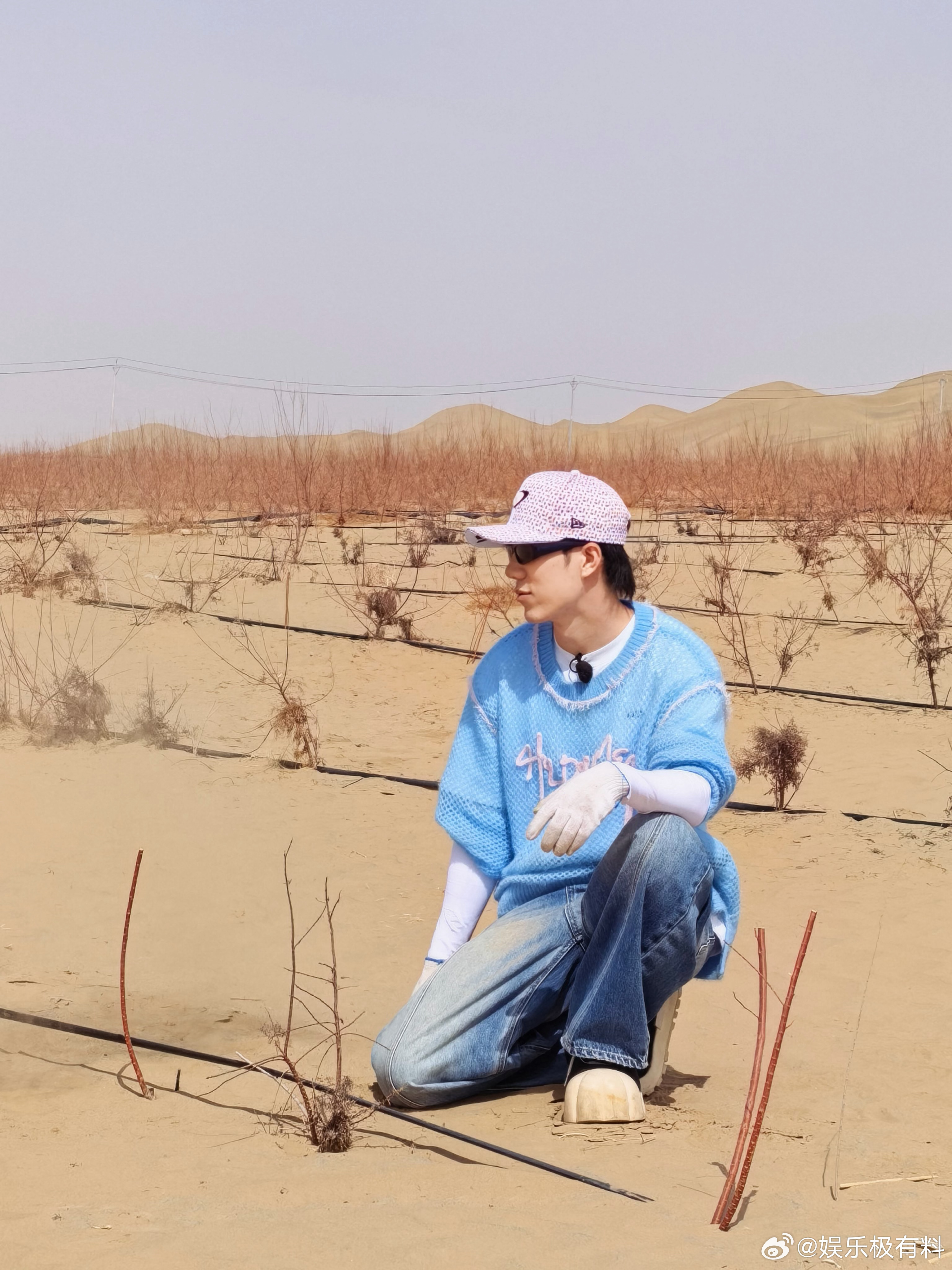 鹭卓种玫瑰的一天鹭卓说对玫瑰的了解太少了 原来种玫瑰也有大学问，鹭卓沉浸式体验，