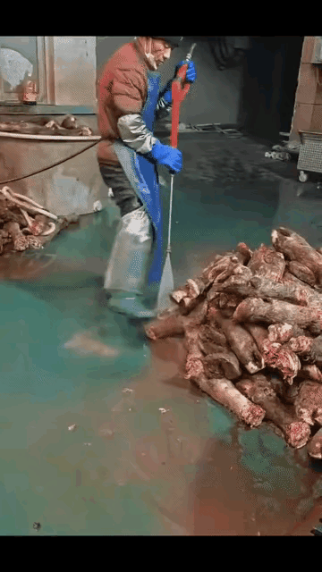 高压水枪这么管用吗？
黑猪蹄转眼就成白猪蹄了[震惊]