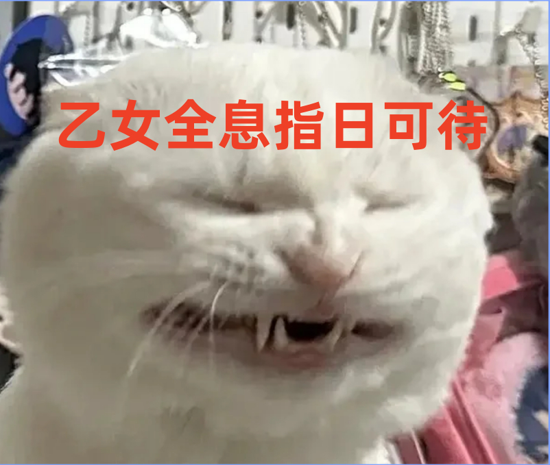 #全息国乙要来了#单方面宣布2024乙游最伟大的技术拓展来了——恋与深空宣布Vi