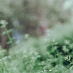 早安心语 “太阳每日重生，照亮世界的每个角落。你也是——今天的你，又是崭新的自己