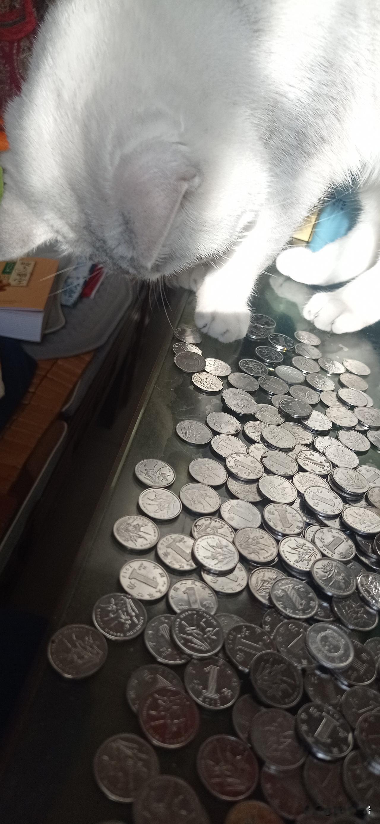 金钱出现以来的若干年内，它带给人们的益处远远比不上所引发的纷争与伤害，实在令人唏