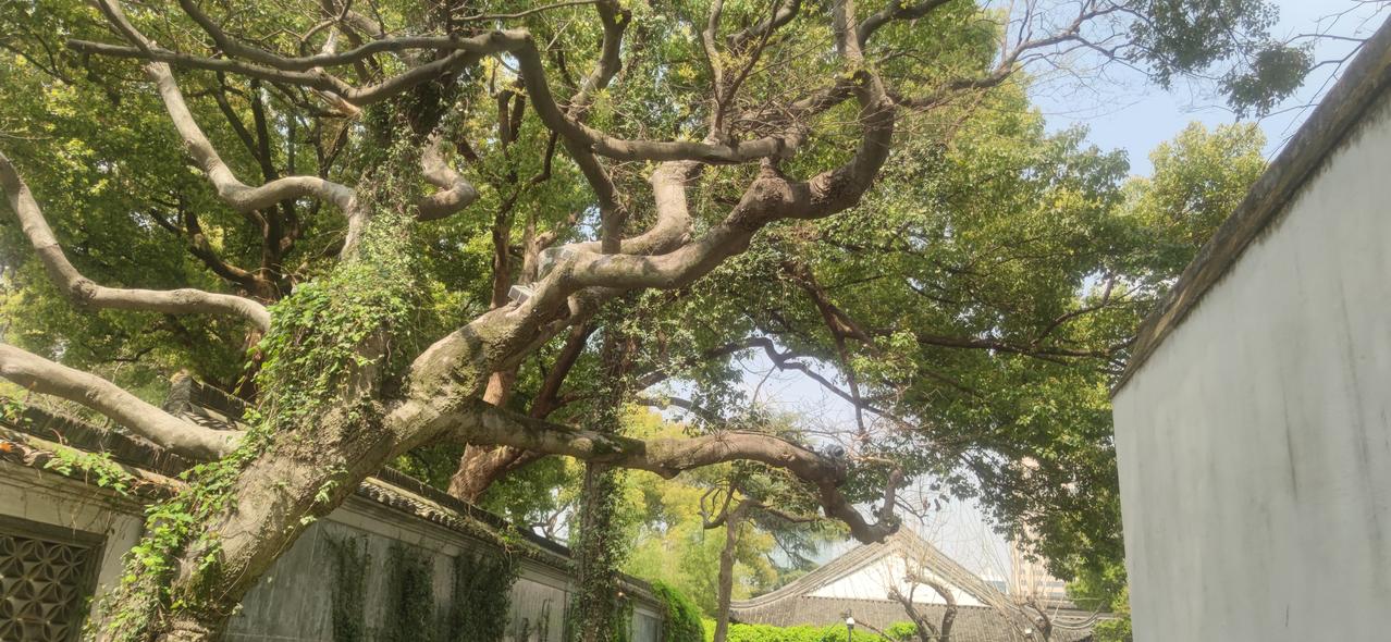 悔恨自己的错误，而且力求不再重蹈覆辙，这才是真正的悔悟。
海明威《真正的高贵》