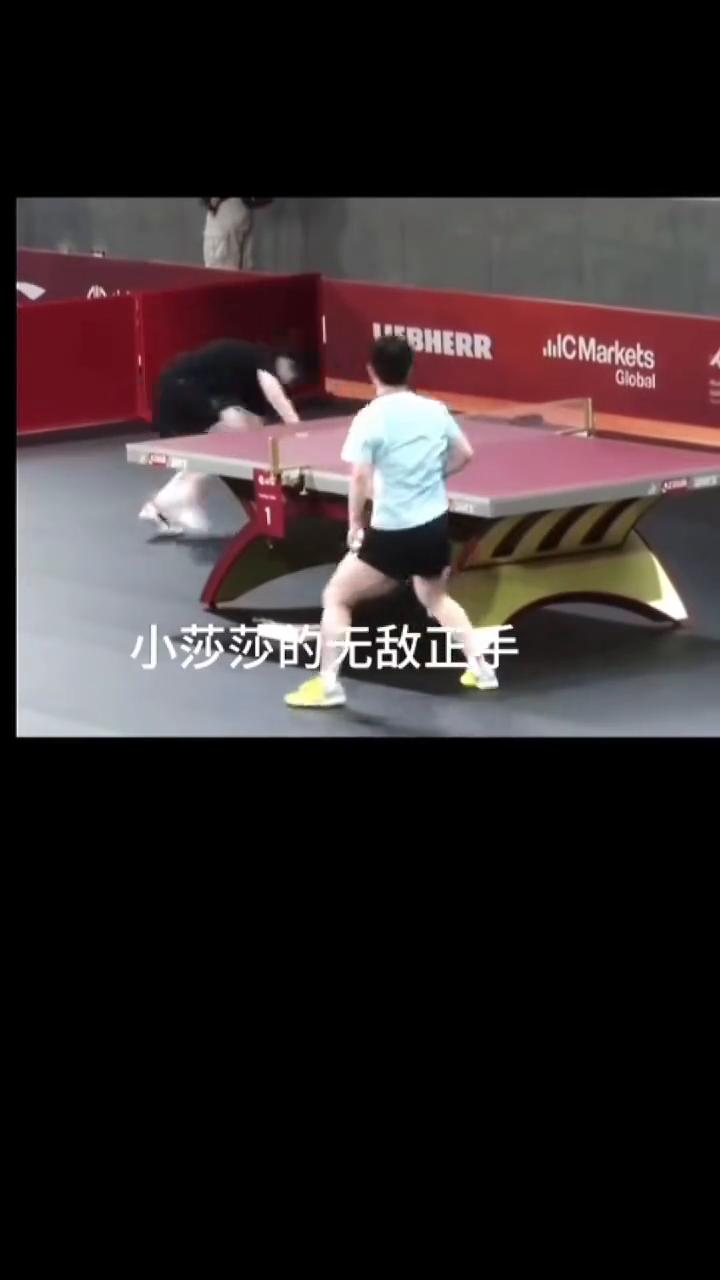落满了蝴蝶。