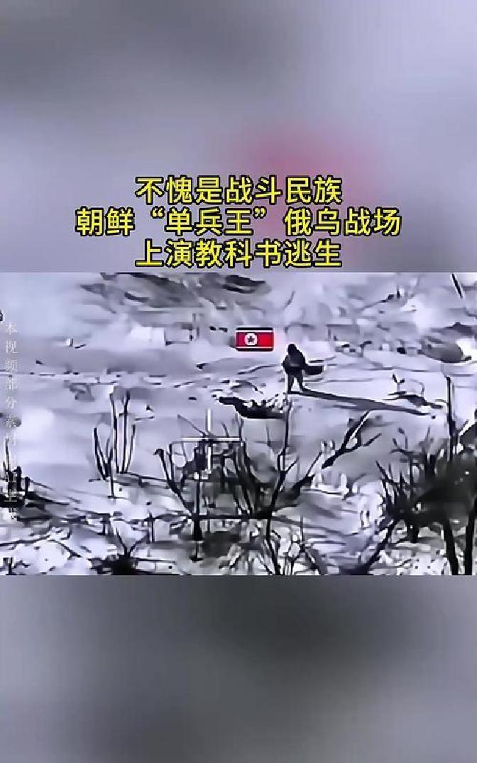 快讯！快讯！。
 
乌克兰方面突然宣布了“抓到了朝鲜士兵”的消息。
 
我这一年