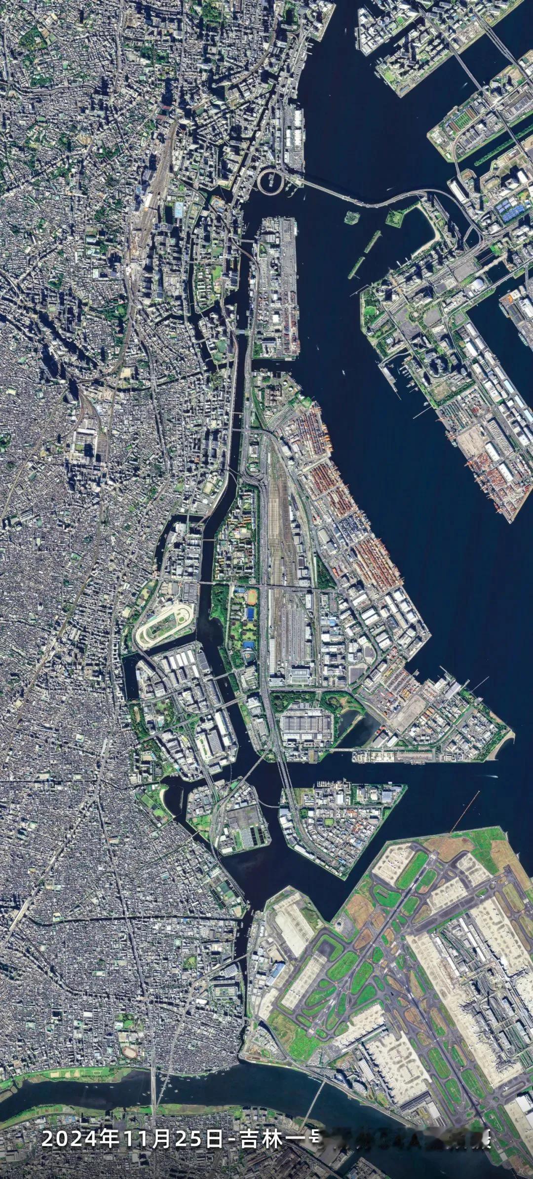 日本东京高清卫星图
