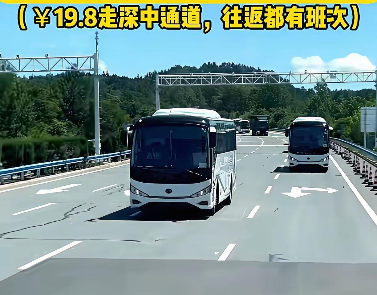 大家有没有发现广东的一些长途大巴突然又活过来了？今年国庆期间有不少人都放弃高铁，