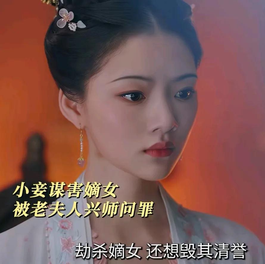 《锦绣安宁》
乔小娘陷害罗宜宁被揭穿，老夫人兴师问罪，罗宜宁找到证人指认乔小娘，