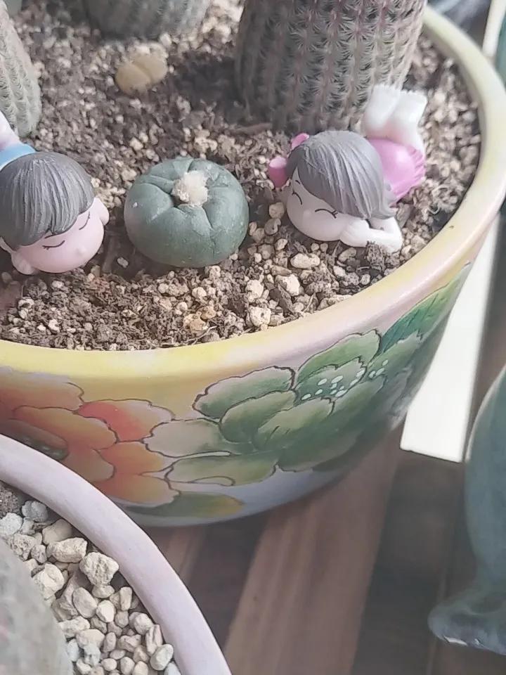 别人说你长得好看就是真的好看吗那都是人家随口一说，不要当真！