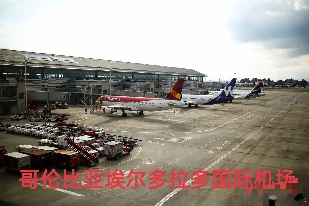 报告称哥伦比亚暴力犯罪问题泛滥 2万具尸体啊，什么概念？相当于2个师的兵力。央视