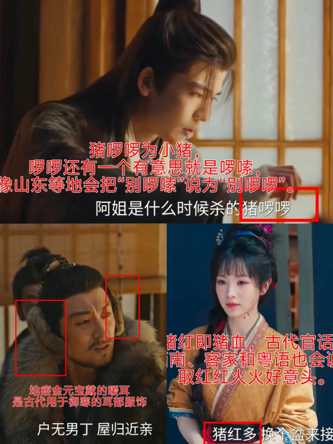 伏笔、暗示、知识点，细节解读