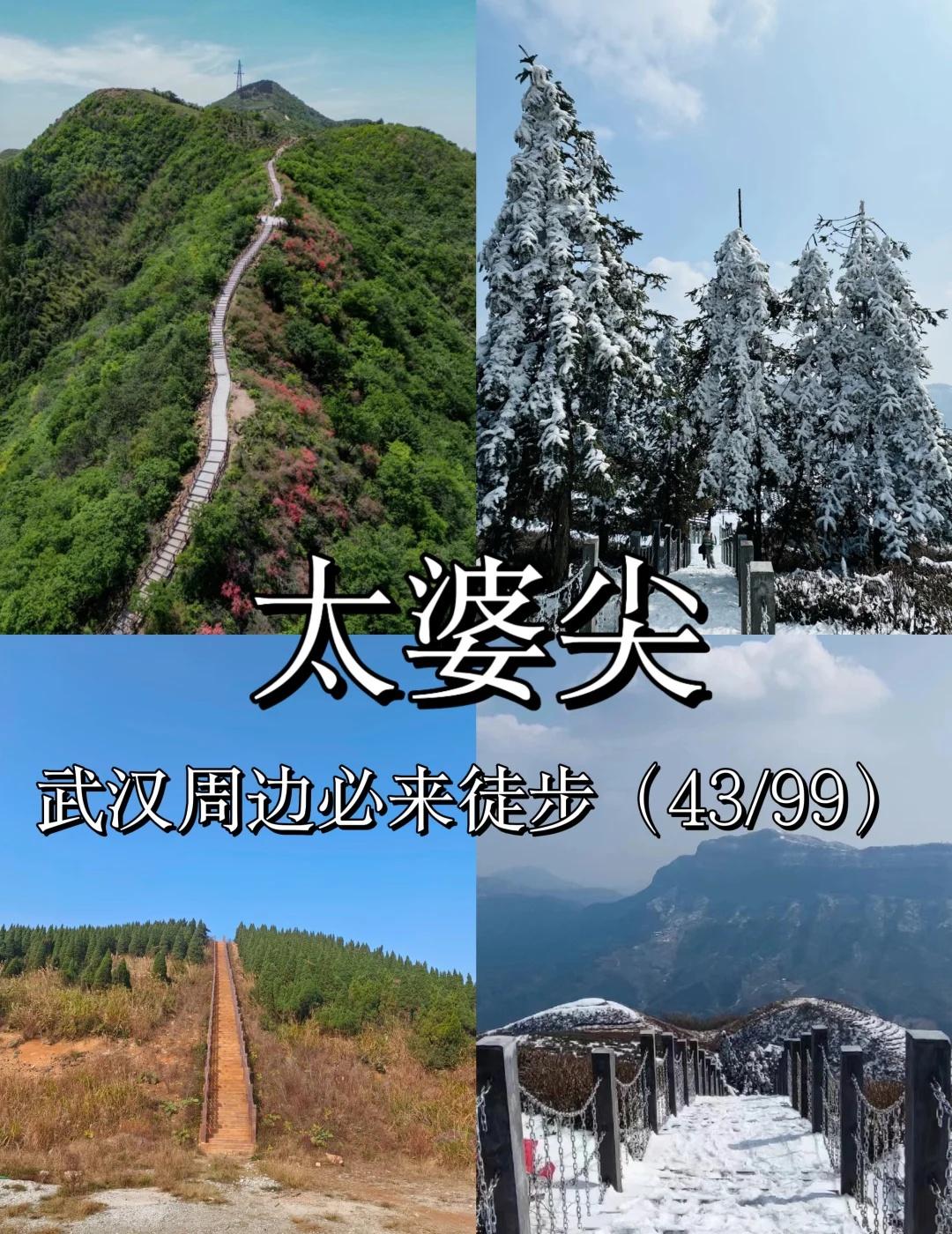 武汉周边必来徒步之太婆尖（43/99）
武汉徒步天花板！太婆尖登顶看“云海梯田”