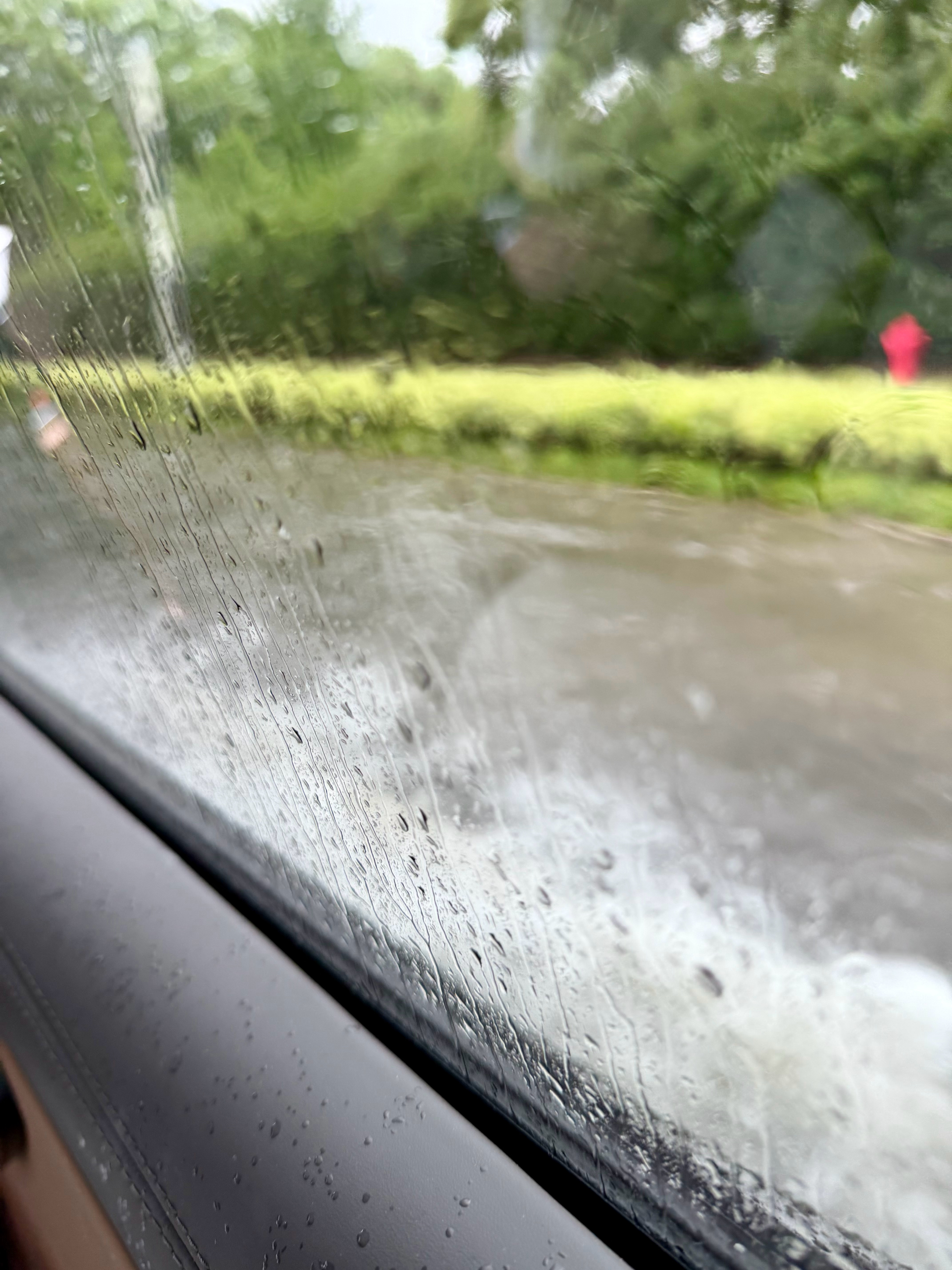 往后暴雨台风只会越来越夯，想买辆涉水深的车，你们说买个啥好呢？台风白海豚