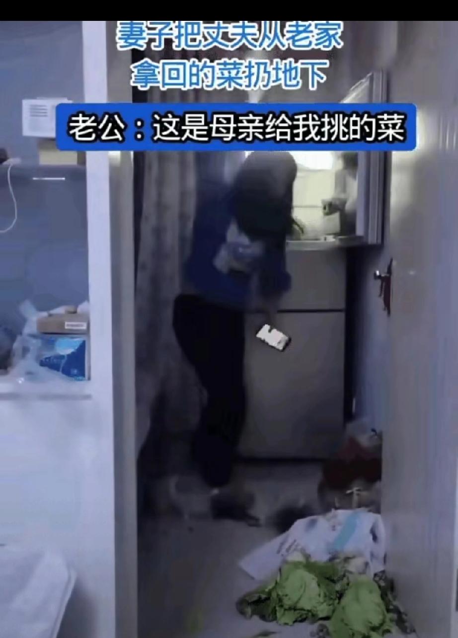 女子下班回家打开冰箱，发现全是老公从老家带来的青菜，女子当场暴怒，把菜全摔烂了！