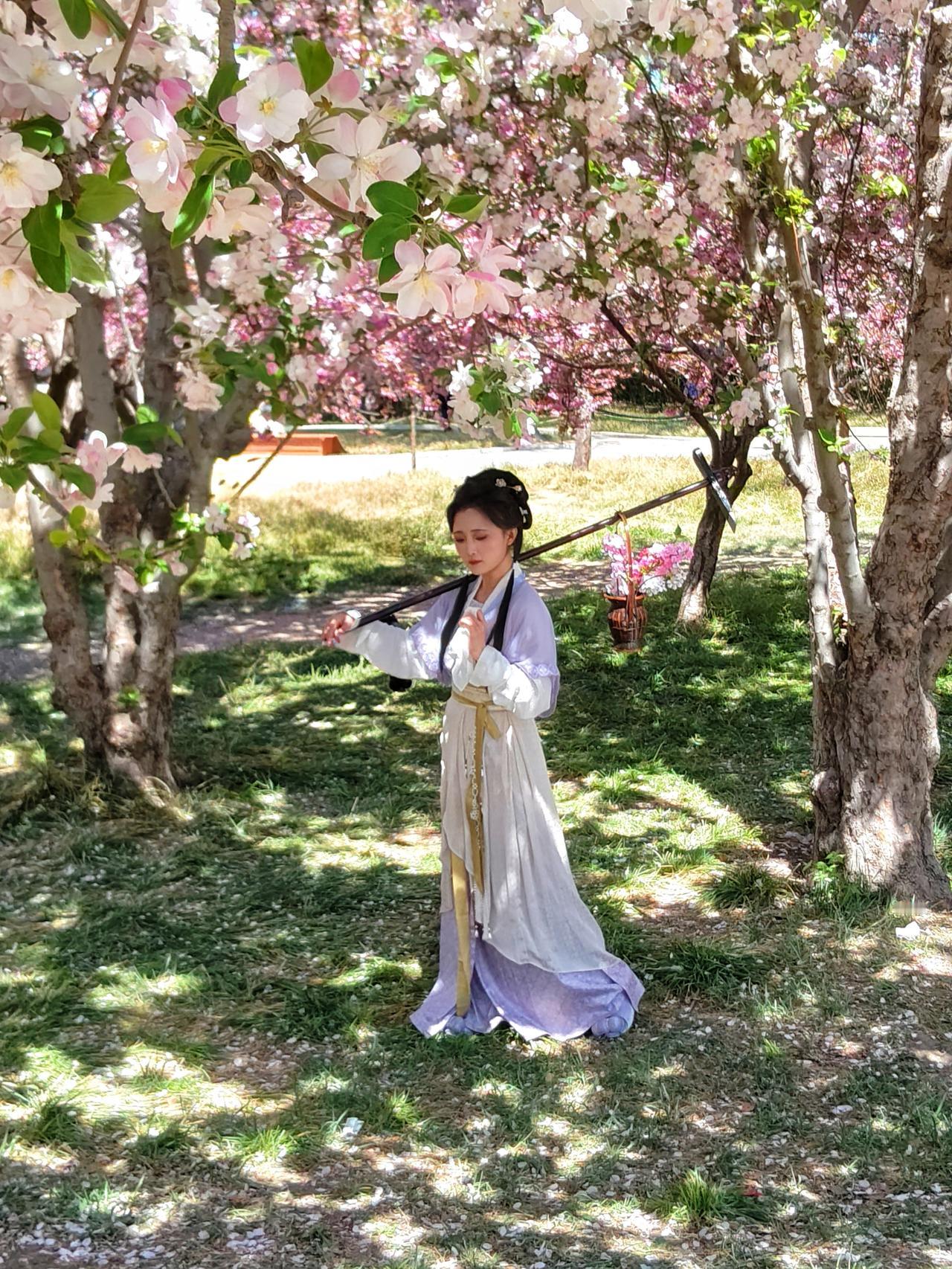 春花春事--莲花池公园
中午得闲，去家附近的莲花池公园探春花。一进公园西门就是花