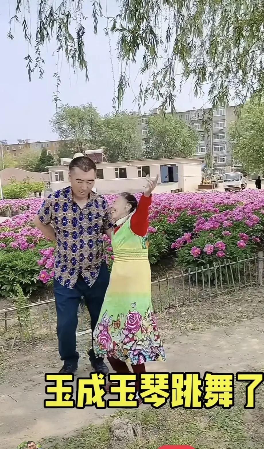 景美：红花、绿树，栅栏、房舍。马玉琴和小丈夫在优美的旋律伴奏下，舞得尽兴。马大姐
