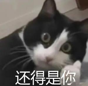 这个夏天为啥这么凉快 确实，今年的长沙相比较去年来说，是比较凉快的了，这点身边的