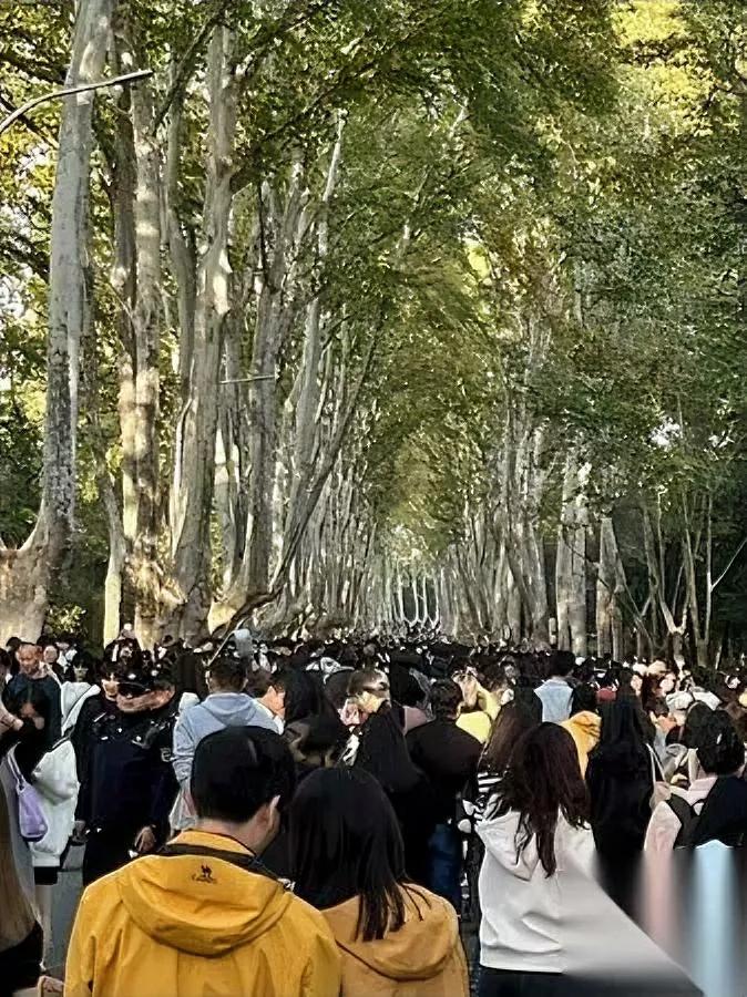 花200万鸡娃值吗？

最后可能养出个“仇人”！咱们算笔扎心账：砸两百万给娃报班