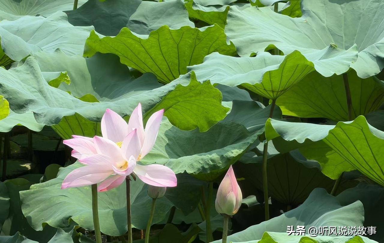 ❤️不论做什么事，都要相信你‬自己，别让别人的一句话将你击倒。人生没有对错，只有